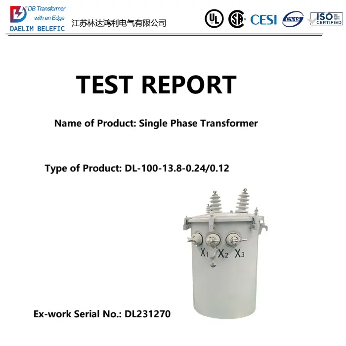 100kVA Pole Mounted Transformer Test Report