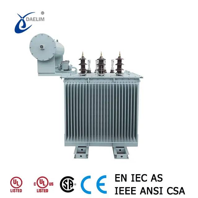 800-kVA-Amorphous-Core-Distribution-Transformer_1.webp