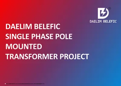 DB Transformer Single Phase Transformer Project