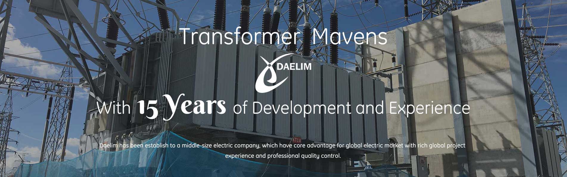 main power transformer
